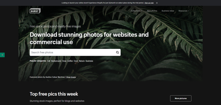 Free-Stock-Photos-and-Royalty-Free-Images---www.shopify