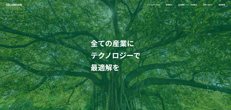 株式会社ソルブレイン-│-全ての産業にテクノロジーで最適解を提供する---www.solebrain.co