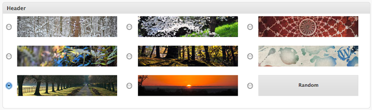 WP-Display-Header