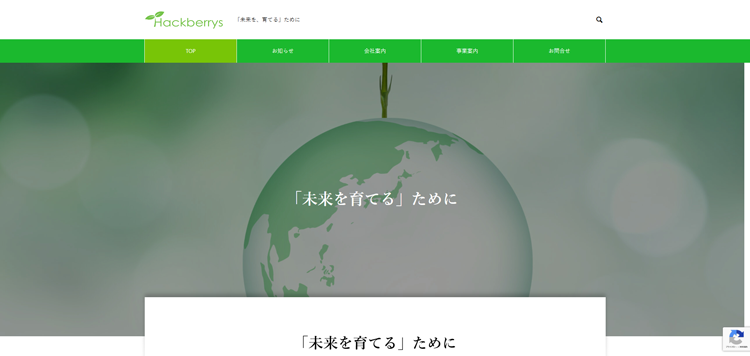 株式会社ハックベリーズ---hackberrys