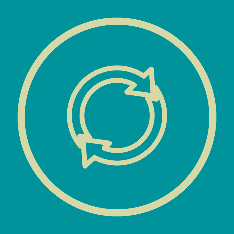 WordPress-Reset
