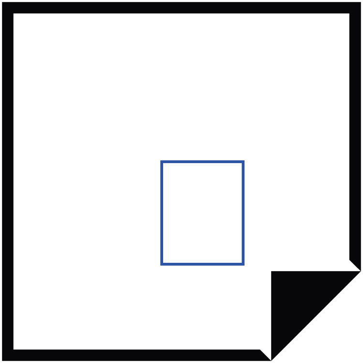 Custom Favicon