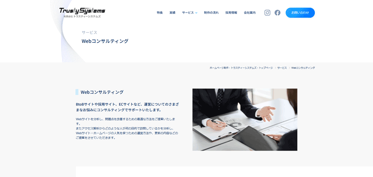 有限会社トラスティーシステムズーコンサル