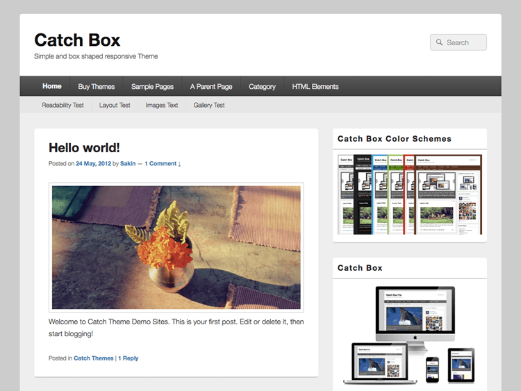 Catch-Box