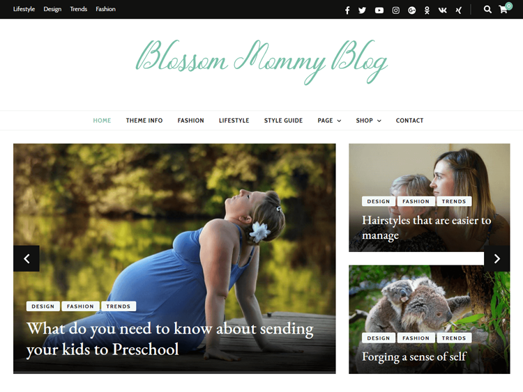 Blossom-Mommy-Blog