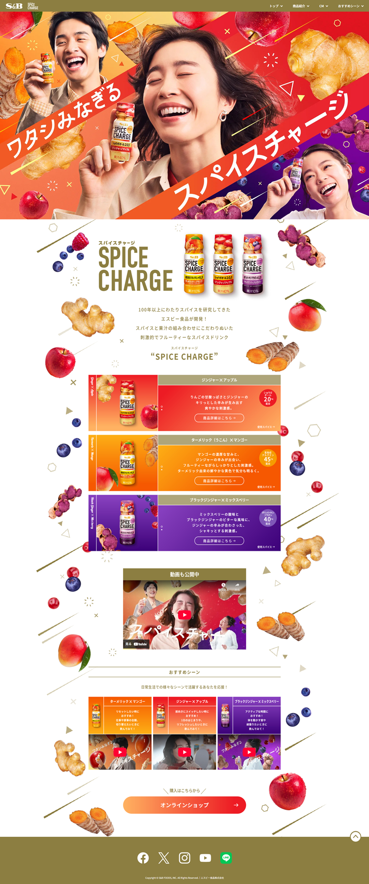 SPICE-CHARGE