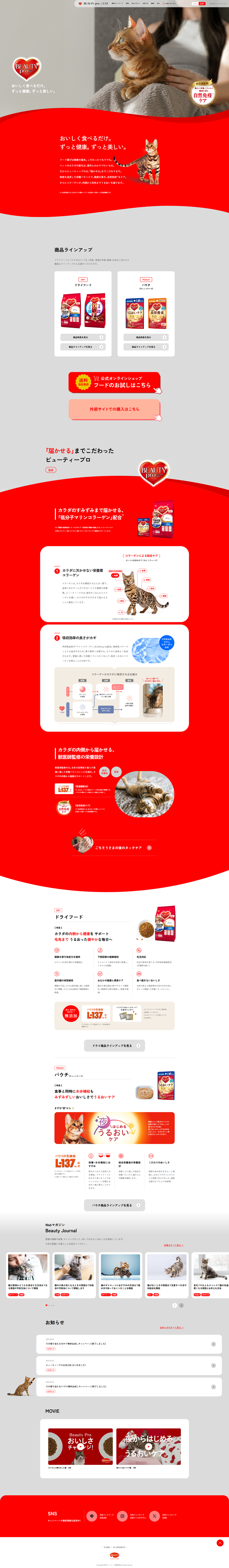 キャットフード【ビューティープロ】