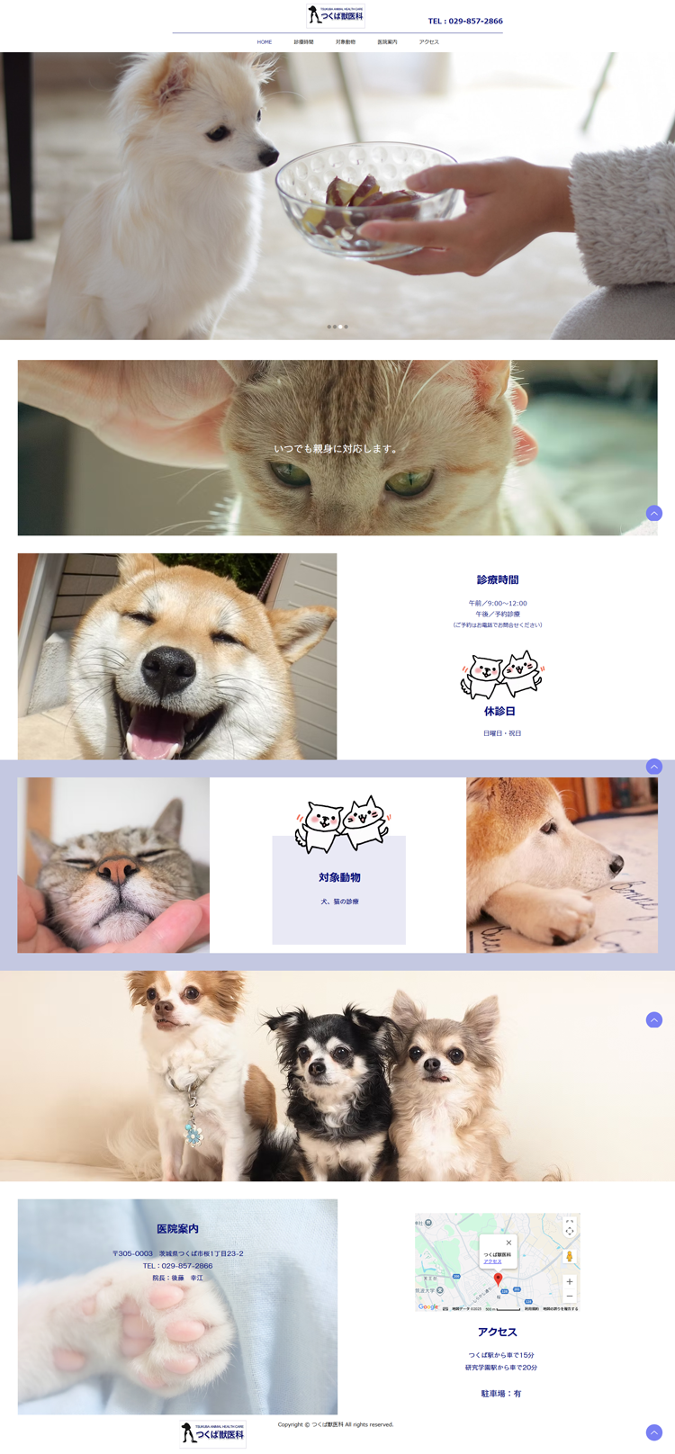 つくば獣医科