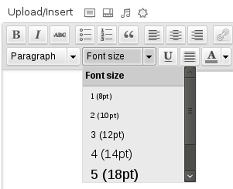 EditorFontsize