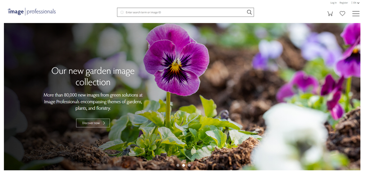 Image-Professionals